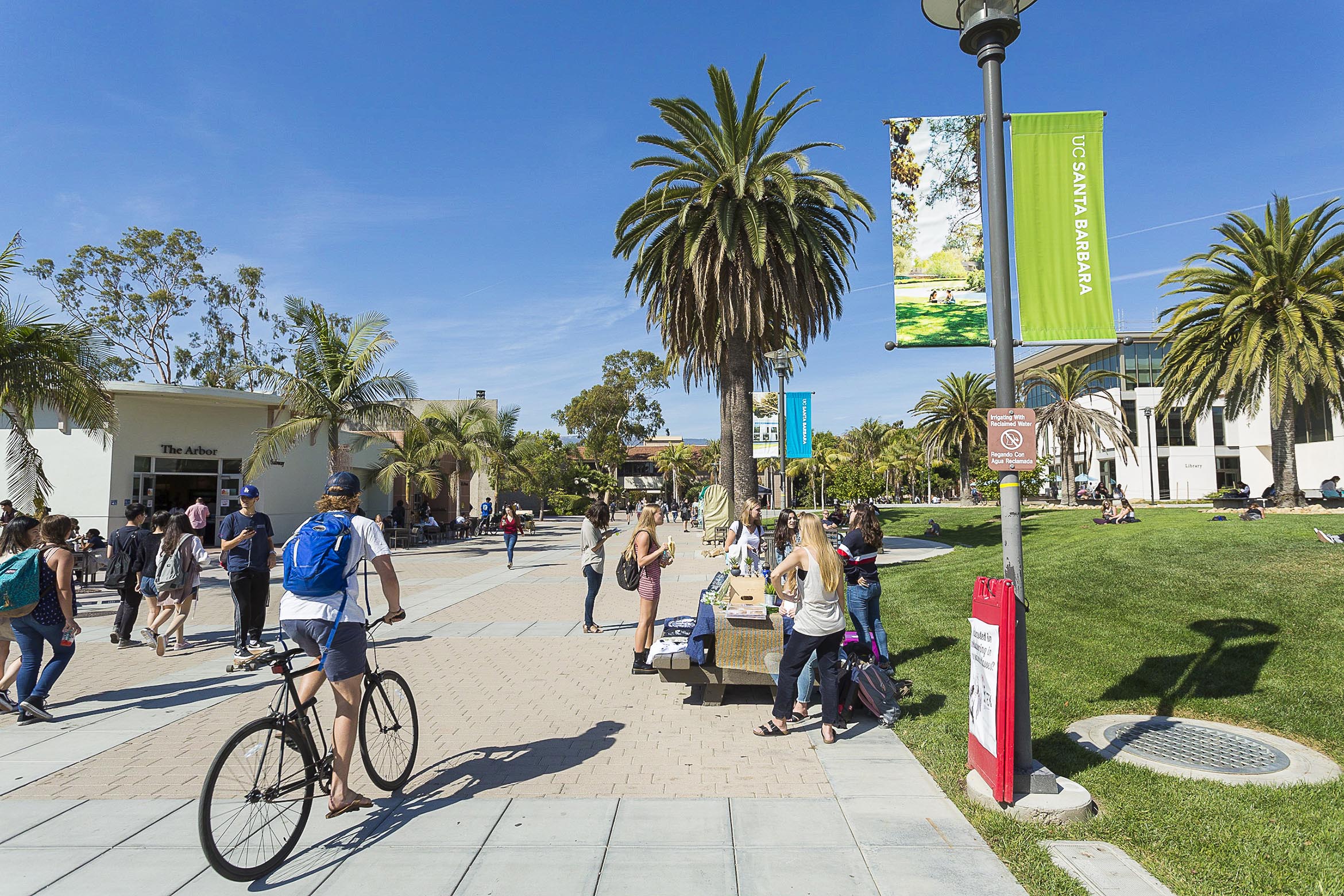 Future Transfer Applicants Undergraduate Admissions future-transfer-applicants-undergraduate-admissions